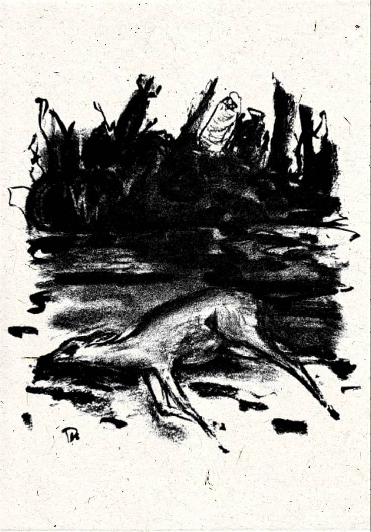 طبعة فنية 14